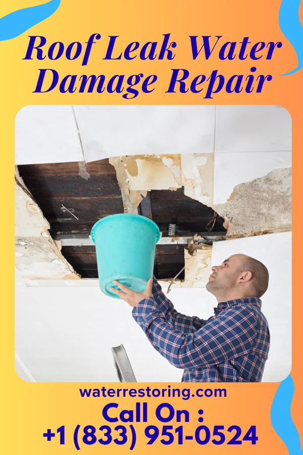 Roof Leak Water Damage Repair in New Baden, IL